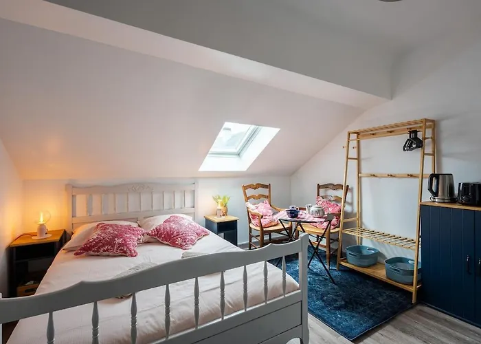 公寓 Chez Granny 昂热